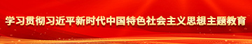 操骚B网址学习贯彻习近平新时代中国特色社会主义思想主题教育